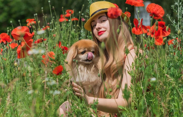 Summer vibes, girl with golden pekingese dog, relax at hot summer days