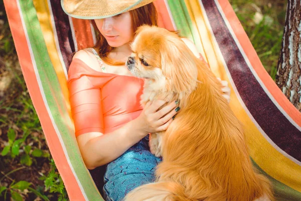 Young sexy woman in hammock with little red dog pekingese. Concept friendship with dog and human, best friend for anyone