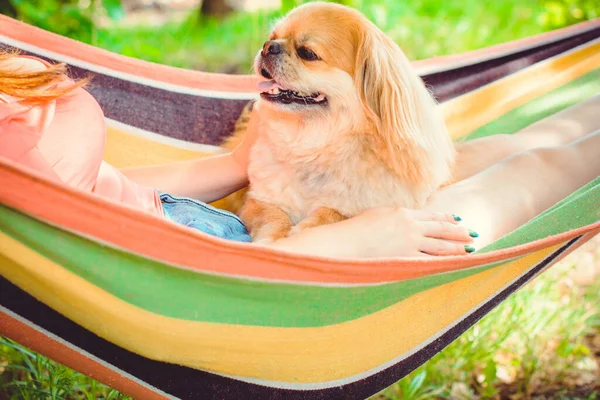 Young sexy woman in hammock with little red dog pekingese. Concept friendship with dog and human, best friend for anyone