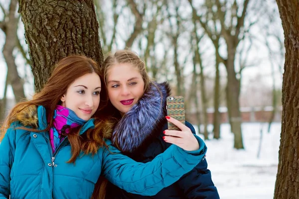 Coppia Giovani Ragazze Parco Invernale Comunità Lgbtq — Foto Stock