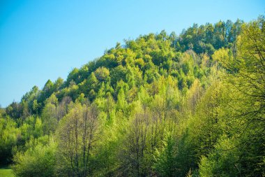 Dağların ve ormanların güzel manzarası. Şehrin dışında dinlenmek, ekolojik yerlere gitmek, sağlıkla ilgilenmek. Doğanın manzaraları ve şehir dışındaki en iyi manzaralar.
