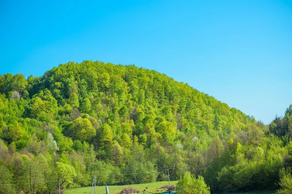 Bellissimo Scenario Montagne Foreste Riposo Fuori Città Viaggiare Luoghi Ecologici — Foto Stock