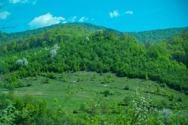 Prachtig Landschap Van Bergen Bossen Rust Buiten Stad Reizen Naar — Stockfoto