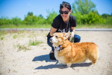 Corgi 'nin altın köpeği göl kenarında yürüyüşe çıkıyor. Evcil hayvanların hayatı