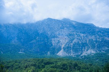 Euripean 'a sonbahar gezisi, tatil kavramı