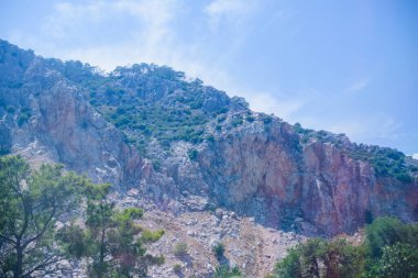 Euripean 'a sonbahar gezisi, tatil kavramı