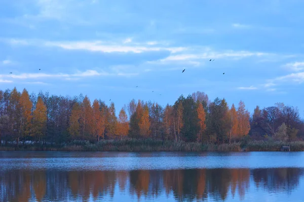 Природный Парк Осенних Деревьев — стоковое фото