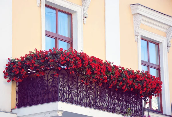 Avrupa mimarisinin ayrıntıları, Eski Avrupa 'da tatiller. İlginç görüntüler