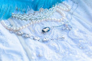 Güzel bir detay, bayanlar için şık şeyler, modaya uygun bijouterie ve aksesuarlar, kıyafetler.