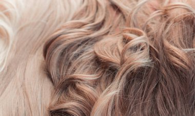 Peruklar, doğal ve sentetik saçlar. Kadınların güzellik anlayışı