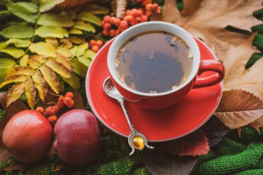 Sonbahar renkli çay, sonbahar konsepti, rahat şeyler, antivirüs çayı