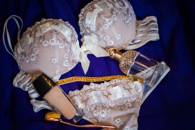 Çekici kadın iç çamaşırları, aksesuarlar, güzellik malzemeleri, parfüm ve diğer kozmetikler. Alışveriş ve moda konsepti ruj ve makyaj konsepti