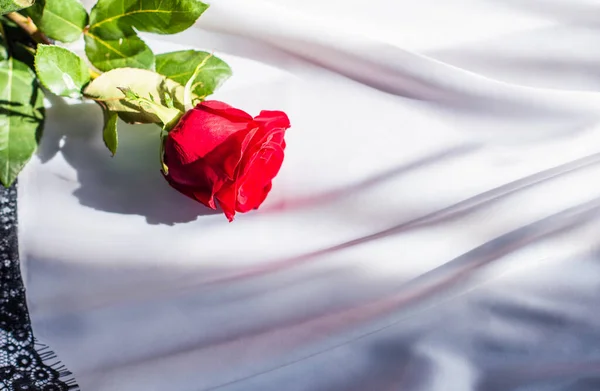Rote Rose Auf Weißer Seide — Stockfoto