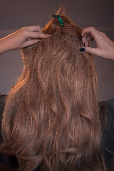 Peruklar Saçlar Kadınların Güzellik Anlayışı — Stok fotoğraf