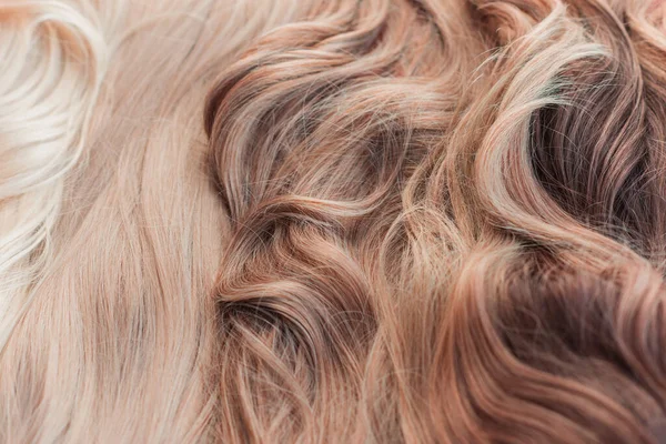 Perucas Cabelo Natural Sintético Conceito Beleza Feminina — Fotografia de Stock