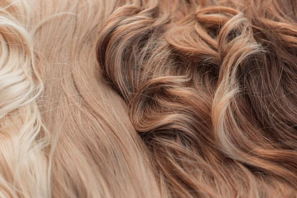 Paruky Přírodní Syntetické Vlasy Dámské Krásy Koncept — Stock fotografie