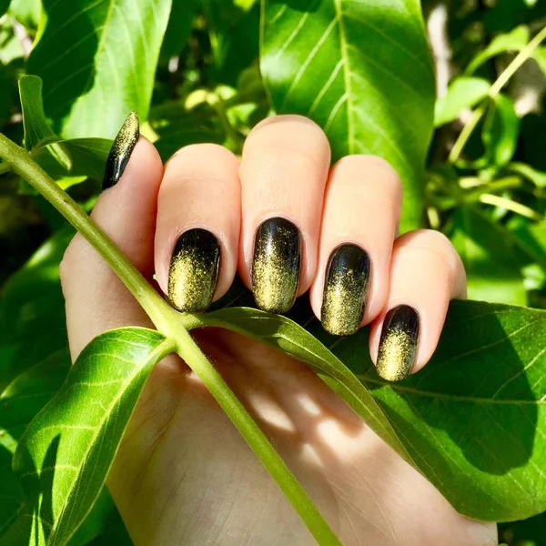 Manicure on a nails of the hand is black and gold with glitter. Hand in the branches of walnut tree leaves