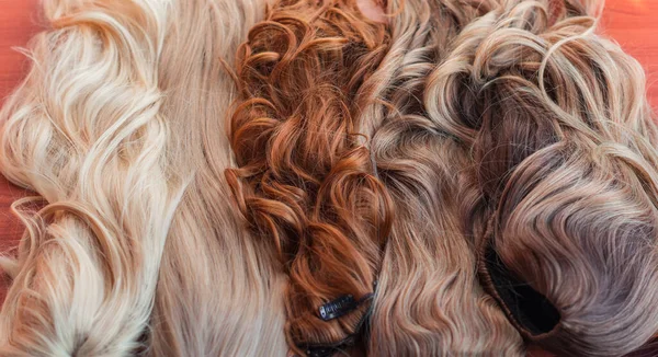 Perruques Cheveux Naturels Syntétiques Concept Beauté Femmes — Photo