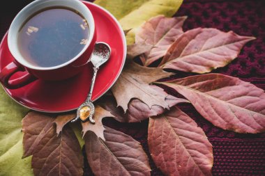 Sonbahar renkli çay, sonbahar konsepti, rahat şeyler, antivirüs çayı