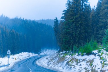 Ormandaki sıcacık kasabanın karlı manzarası. Güzel ve hoş bir manzara, dağlarda eğlence.