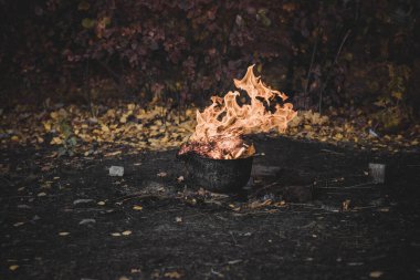 Akşam giysili bir kadın. Holly Eve 'de oldukça hoş bir bayan. Güzel elbiseli kadın. 