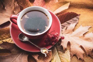 Sonbahar renkli çay, sonbahar konsepti, rahat şeyler, antivirüs çayı