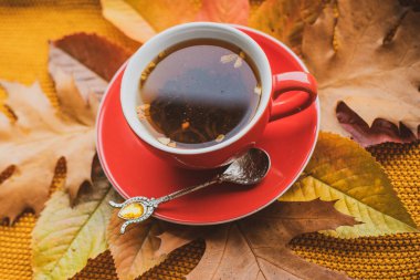 Sonbahar renkli çay, sonbahar konsepti, rahat şeyler, antivirüs çayı