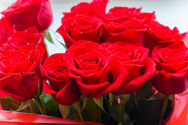 Fleurs Roses Rouges Vue Rapprochée — Photo