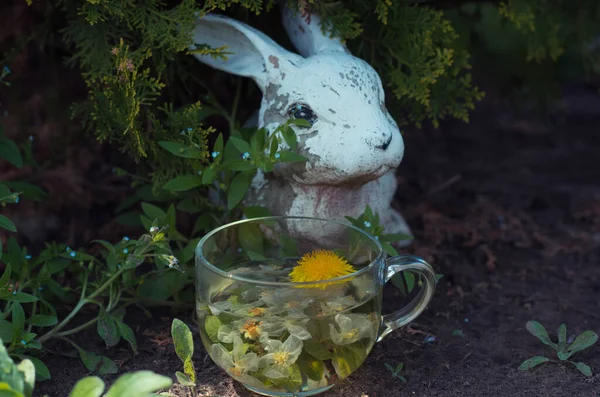 Травяной Чай Цветами Натуральный Образ Жизни Здравоохранение — стоковое фото