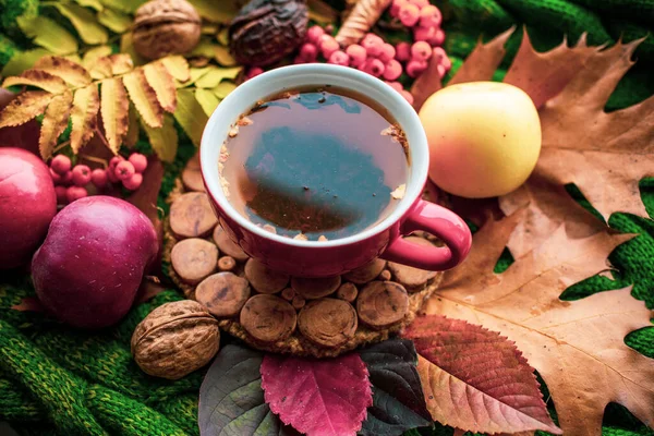 Herbstlicher Bunter Tee Herbstkonzept Gemütliche Dinge Antivirus Tee — Stockfoto