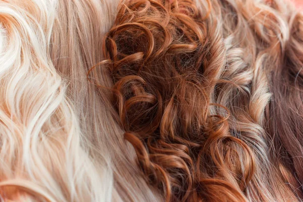 Peruki Naturalne Syntetyczne Włosy Kobieca Koncepcja Piękna — Zdjęcie stockowe