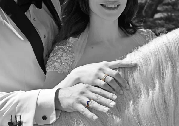 Momentos Mágicos Boda Historia Amor Matrimonio Feliz Boda Detalles Elegantes — Foto de Stock