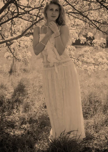 ファッショナブルな長いレースの白いドレスを着てエレガントなロマンチックな若い女性の肖像画 — ストック写真