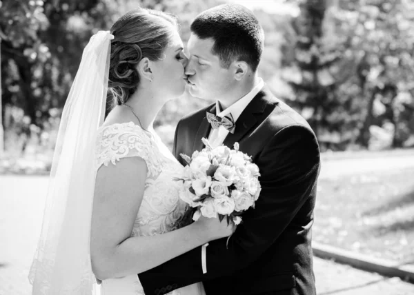 Свадьба Красивая Пара Хорошим Настроением Поцелуи Природе Любовь Тебе Нужно — стоковое фото