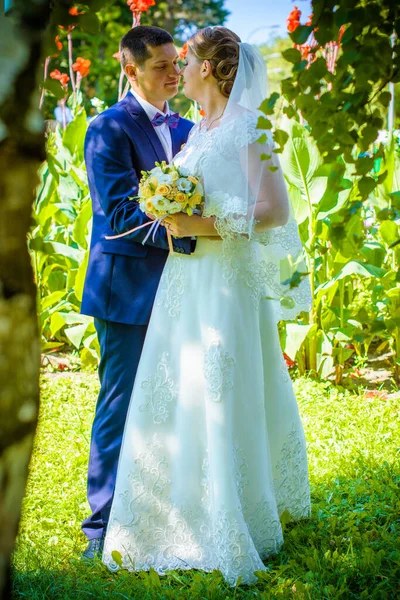 Hochzeit Schönes Paar Mit Guter Laune Küsse Der Natur Liebe — Stockfoto