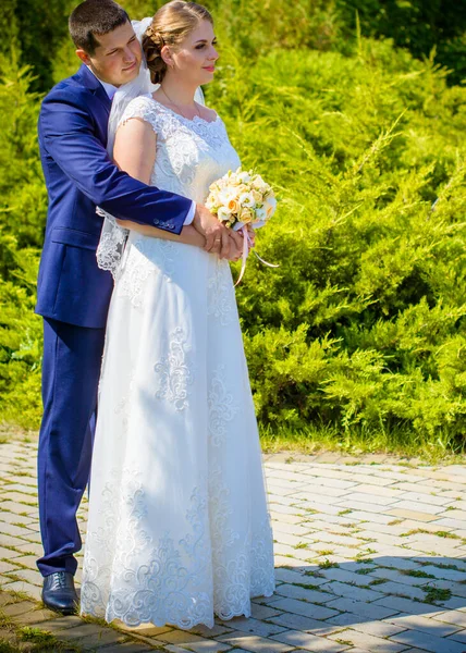 Boda Pareja Hermosa Con Los Besos Buen Humor Naturaleza Amor — Foto de Stock