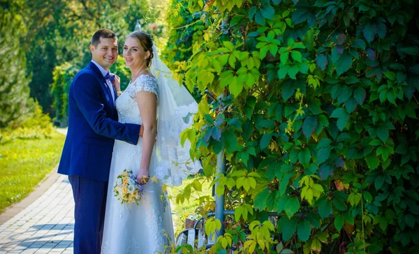 Hochzeit Schönes Paar Mit Guter Laune Küsse Der Natur Liebe — Stockfoto