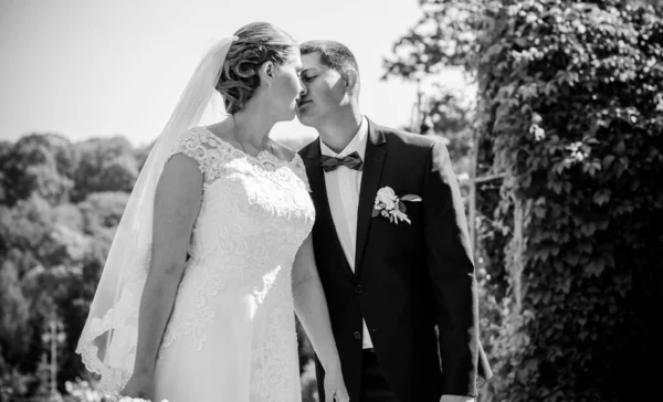 Hochzeit Schönes Paar Mit Guter Laune Küsse Der Natur Liebe — Stockfoto