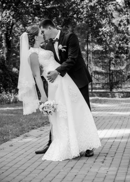 Keyifli Öpücüklere Sahip Güzel Bir Düğün Çifti Htiyacın Olan Tek — Stok fotoğraf