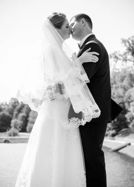 Boda Pareja Hermosa Con Los Besos Buen Humor Naturaleza Amor — Foto de Stock