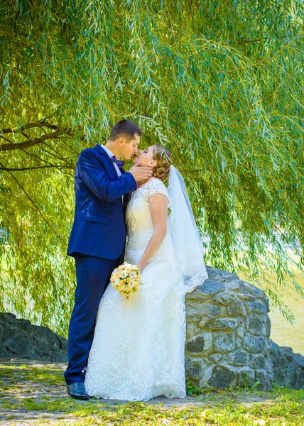 Bruiloft Mooi Paar Met Goed Humeur Kussen Een Natuur Liefde — Stockfoto