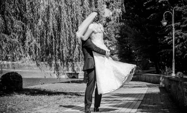 Esküvő Gyönyörű Pár Hangulatú Csókok Természetben Csak Szeretetre Van Szükséged — Stock Fotó