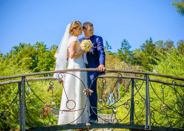Hochzeit Schönes Paar Mit Guter Laune Küsse Der Natur Liebe — Stockfoto