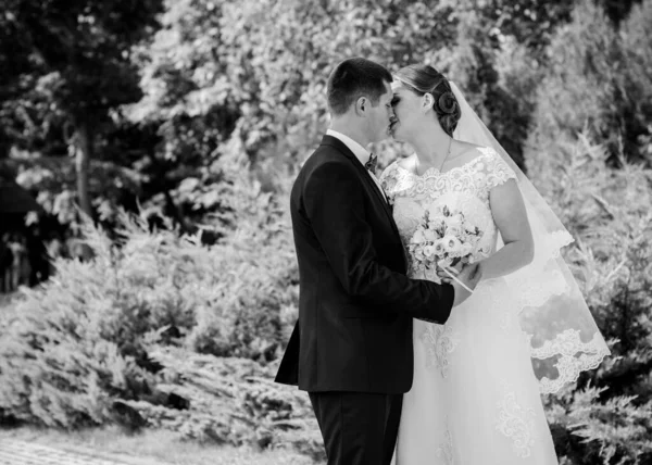 Novia Feliz Novio Después Ceremonia Boda Groom Más Joven Que — Foto de Stock