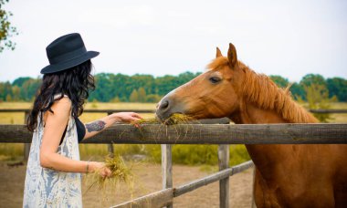 Siyah şapkalı, esmer, kıvırcık saçlı, siyah elbiseli, çiftlikte atları olan, çiftlikte hayvan besleyen bir kadın. Atlar insan dostudur.