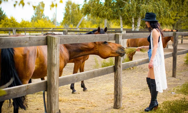 Žena Černém Klobouku Kudrnatými Vlasy Černými Šaty Koňmi Farmě Domácí — Stock fotografie