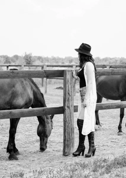 Siyah Şapkalı Esmer Kıvırcık Saçlı Siyah Elbiseli Çiftlikte Atları Olan — Stok fotoğraf