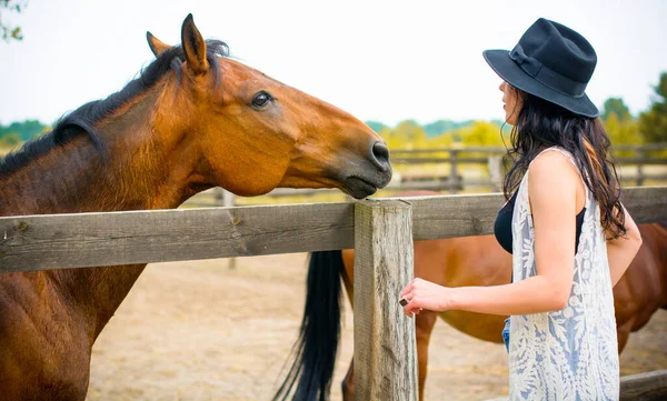 戴着黑色帽子的女人 一头乌黑的卷发 穿着黑色衣服 农场里还有马 在村子里的牧场里养动物 马是人类的朋友 — 图库照片