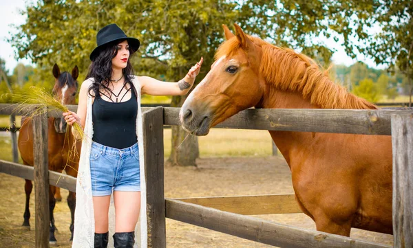 ブルネットの巻き毛と黒のドレスと農場で馬と黒の帽子の女性 ランチョの村のペット動物 馬は人間の友達だ — ストック写真