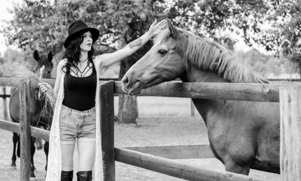 Woman Black Hat Brunette Curly Hair Black Dress Horses Farm — Stock Photo, Image